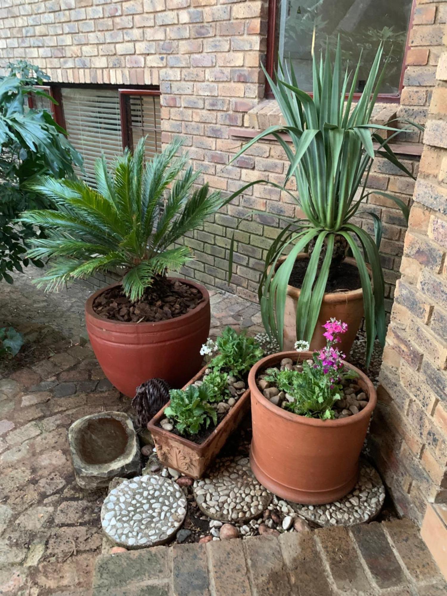 Shepherd Lodge Johannesburg Luaran gambar